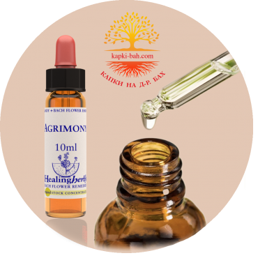 1.Agrimony / Агримония