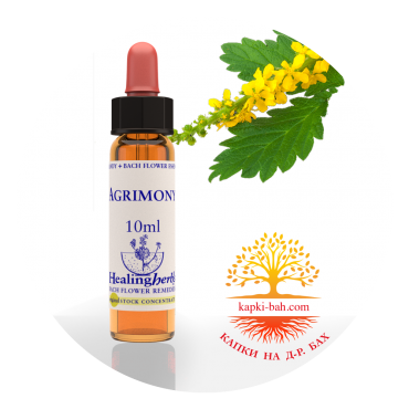 1.Agrimony / Агримония