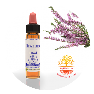 14. Heather / Калуна