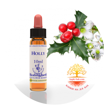 15. Holly / Джел