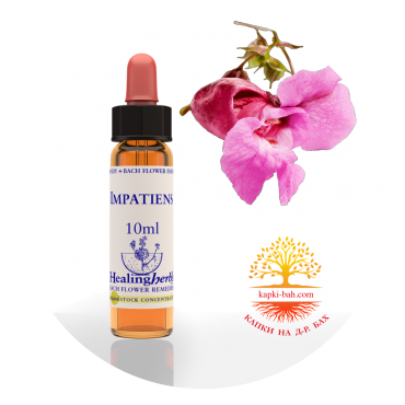 18. Impatiens / Слабонога