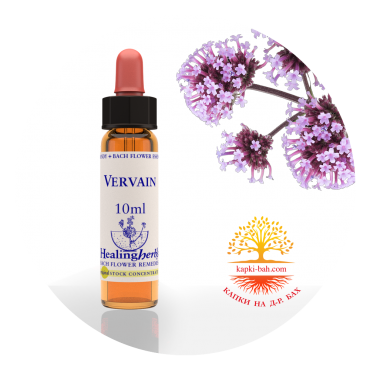 31.Vervain / Върбинка