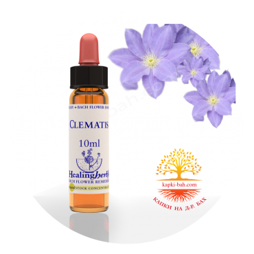 9. Clematis / Повет